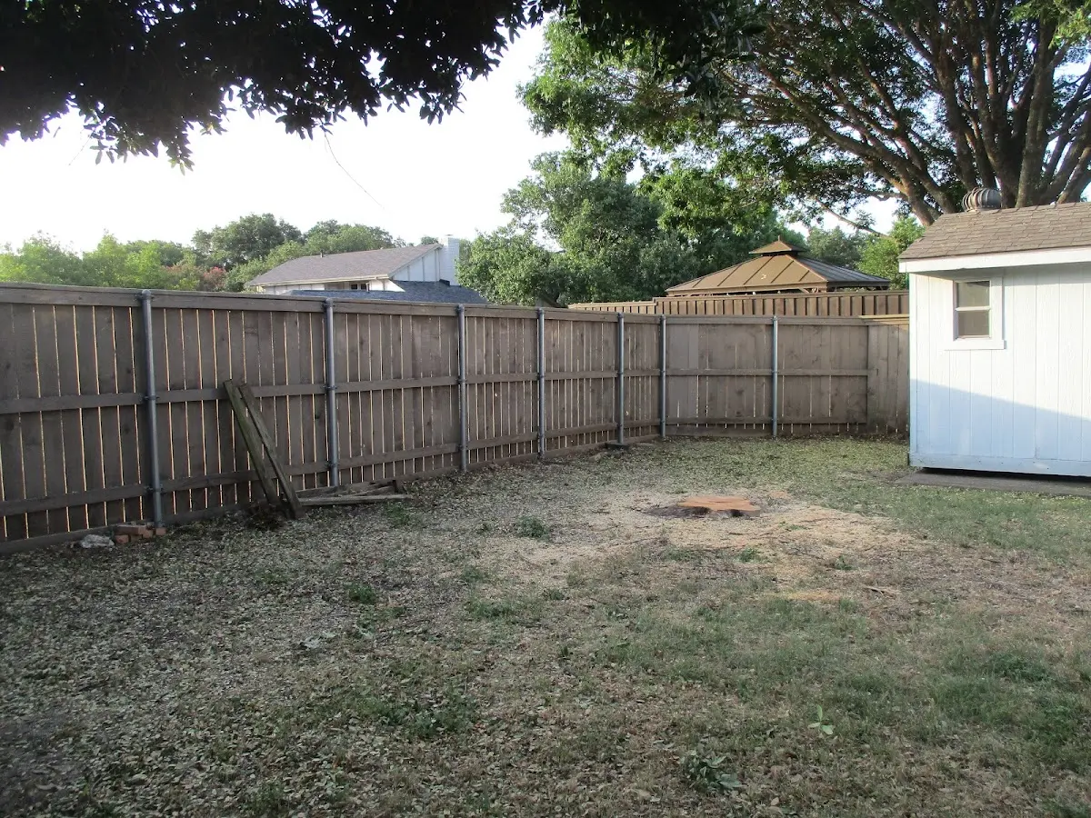 Cleared yard after professional tree removal in Lemont Furnace