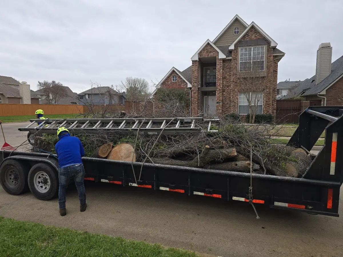Expert Lot Clearing with proper safety equipment in Lemont Furnace